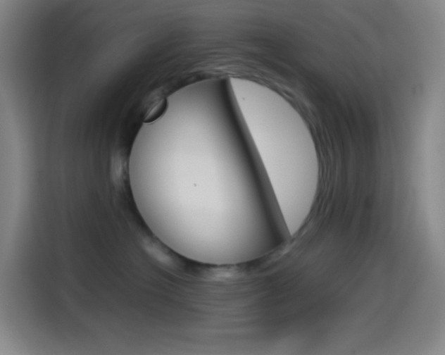 X0000114560574200910191014