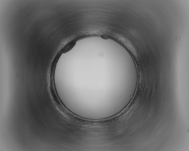 X0000114560578200910191013