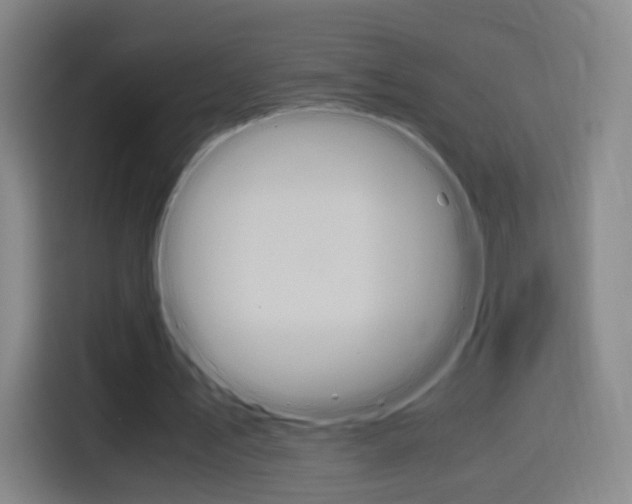 X0000114560579200910191013