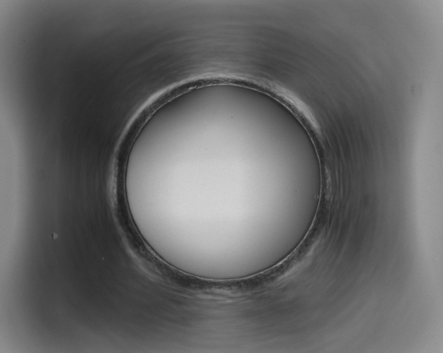 X0000114560580200910191013