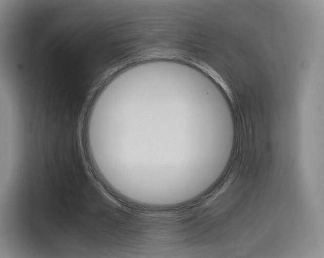 X0000114560581200910191013