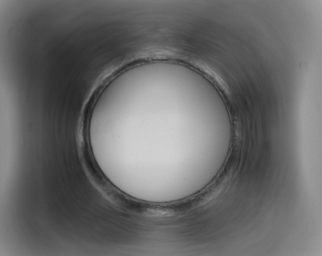 X0000114560582200910191013