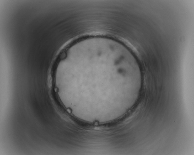 X0000114560584200910191013