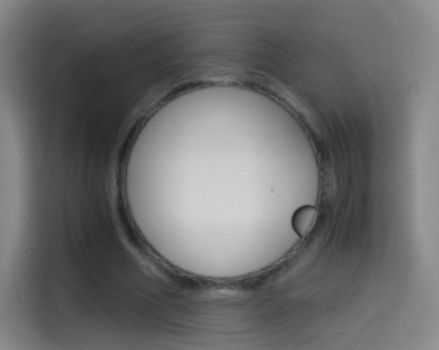 X0000114560586200910191013