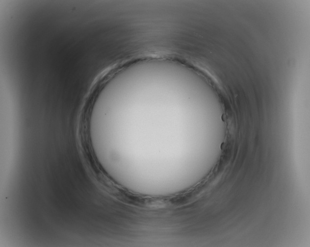 X0000114560587200910191013