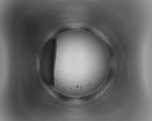 X0000114560589200910191013
