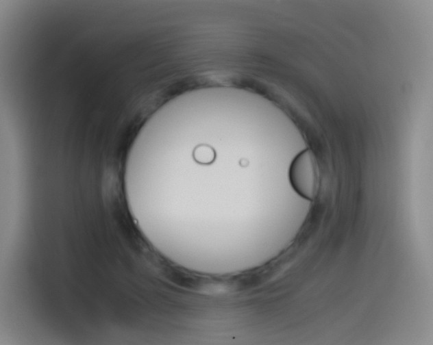 X0000114560595200910191013