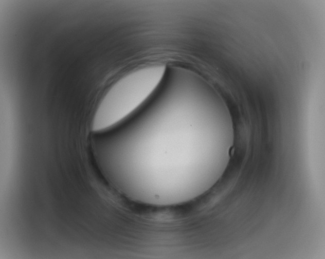 X0000114560600200910191013