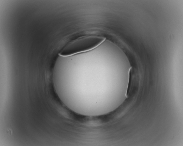 X0000114560601200910191013