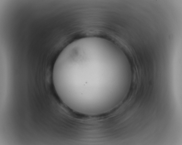X0000114560604200910191013