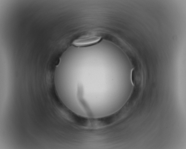 X0000114560605200910191013