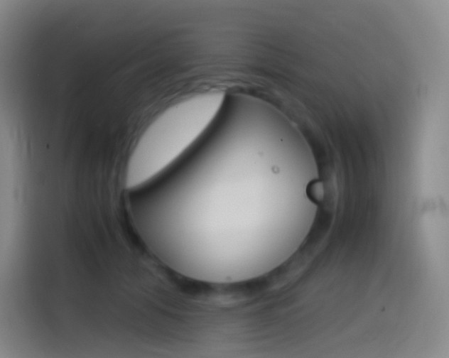 X0000114560608200910191013