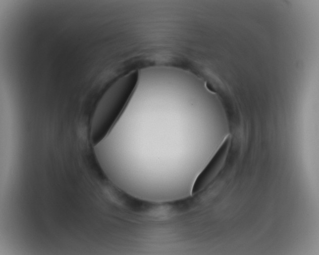 X0000114560609200910191013