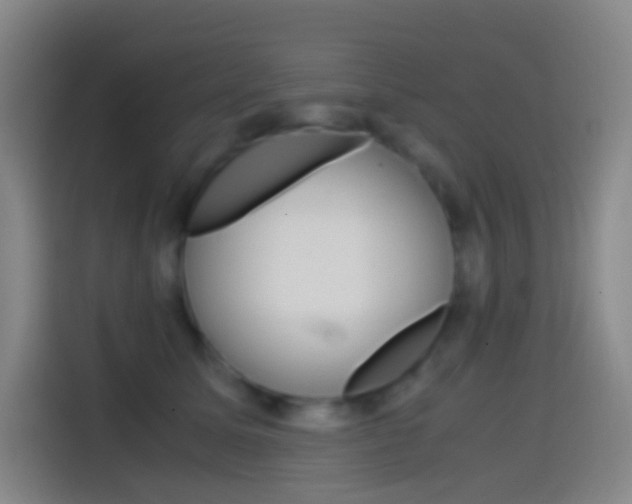 X0000114560611200910191013