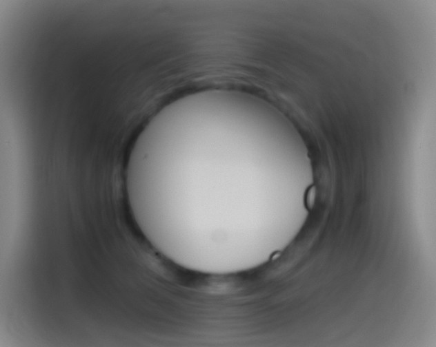 X0000114560612200910191013