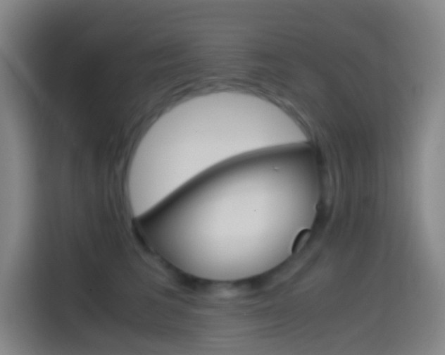 X0000114560613200910191013