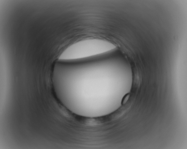 X0000114560616200910191012