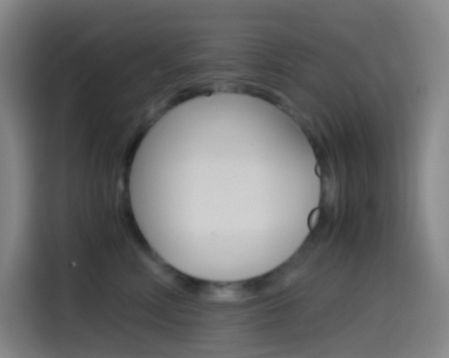 X0000114560618200910191012
