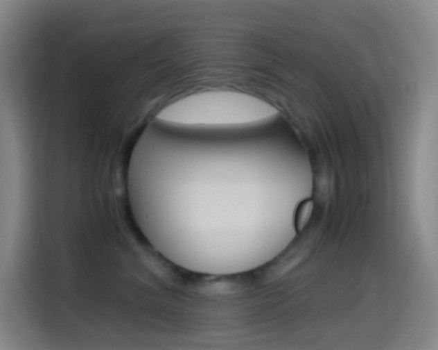 X0000114560620200910191012