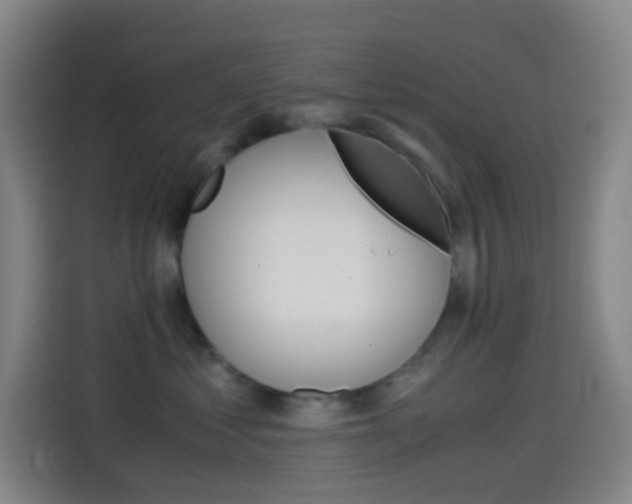 X0000114560621200910191012