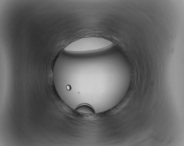X0000114560624200910191012