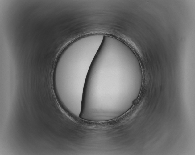 X0000114560625200910191012