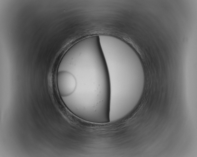 X0000114560626200910191012