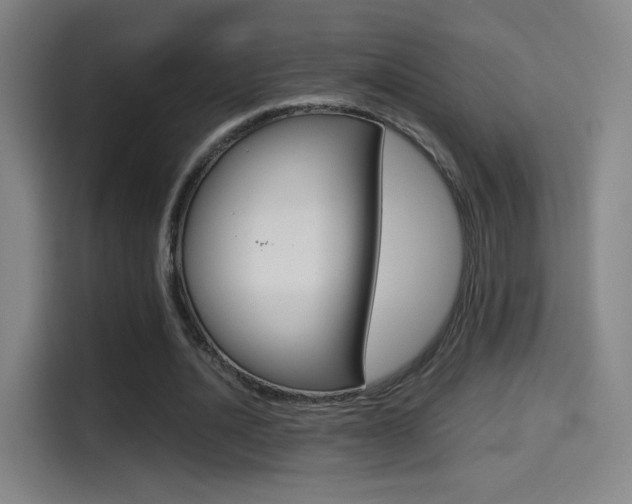 X0000114560628200910191012
