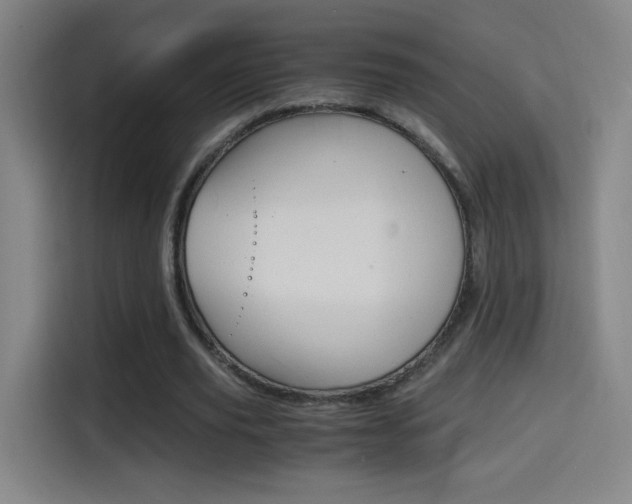 X0000114560629200910191012
