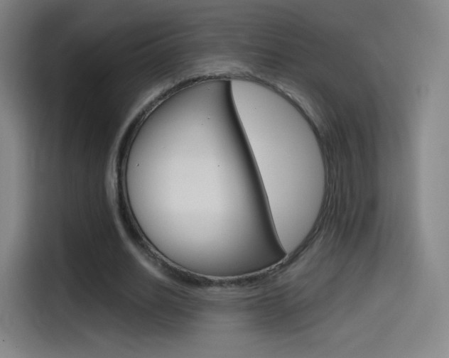 X0000114560630200910191012