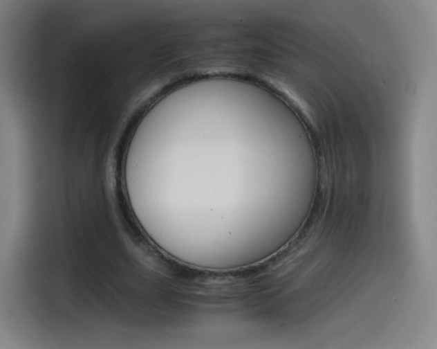 X0000114560631200910191012