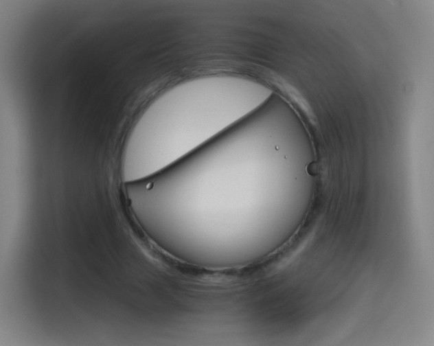 X0000114560633200910191012