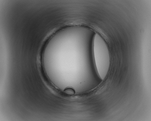 X0000114560634200910191012