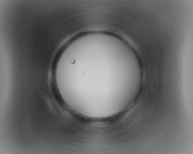 X0000114560636200910191012