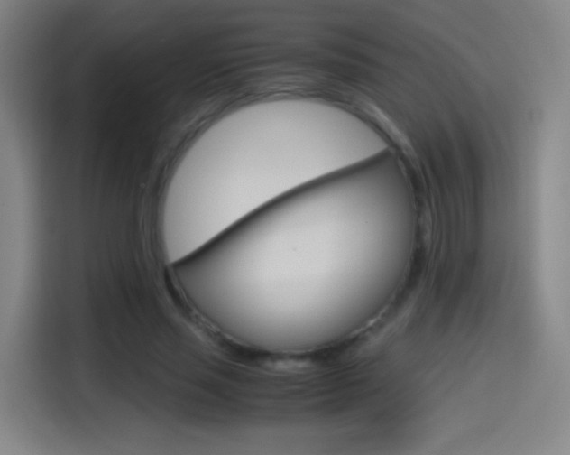 X0000114560637200910191012