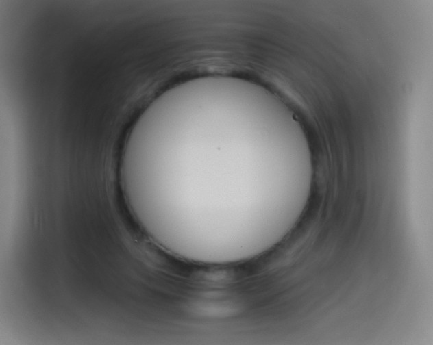 X0000114560639200910191012