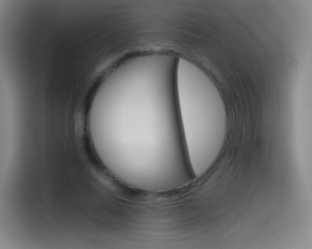 X0000114560640200910191012