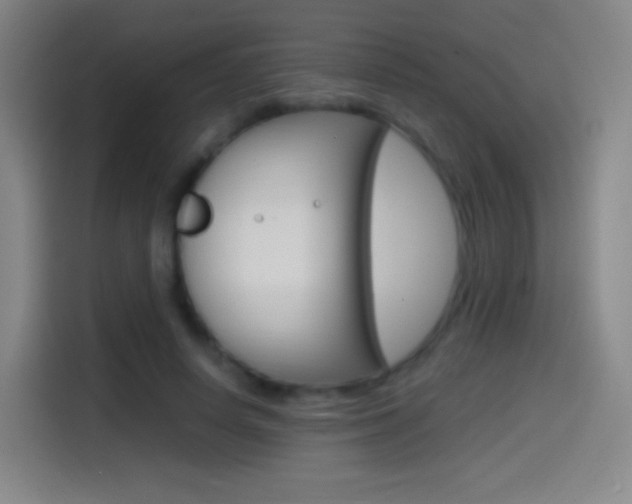 X0000114560642200910191012