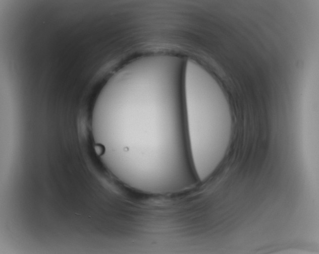 X0000114560644200910191012