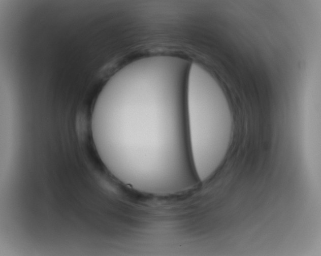 X0000114560648200910191012