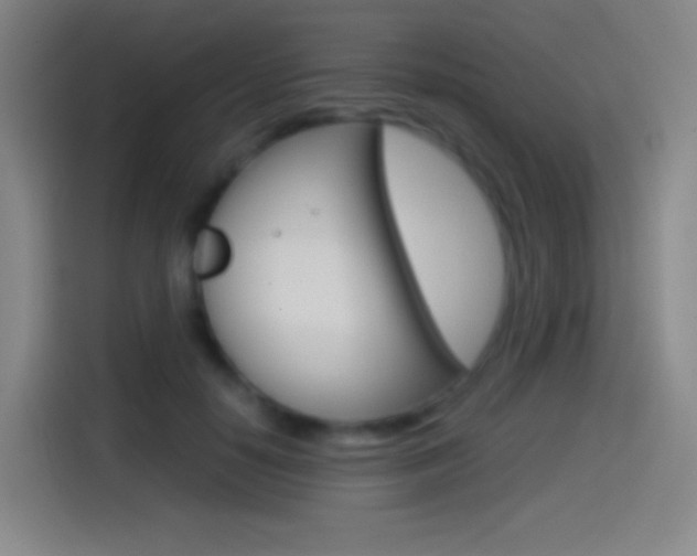 X0000114560650200910191012