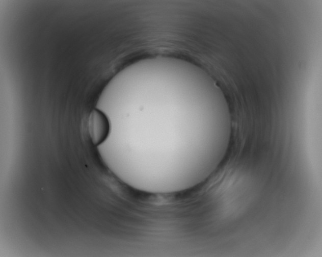 X0000114560660200910191012