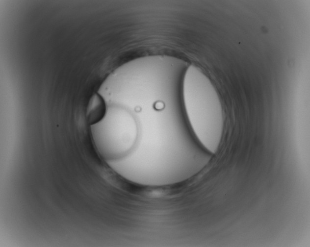 X0000114560662200910191012