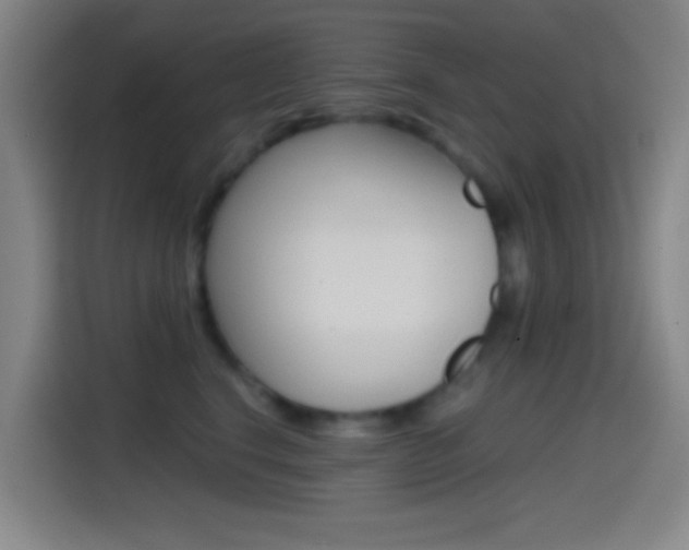 X0000114560664200910191012