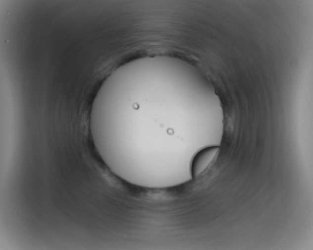 X0000114560666200910191012