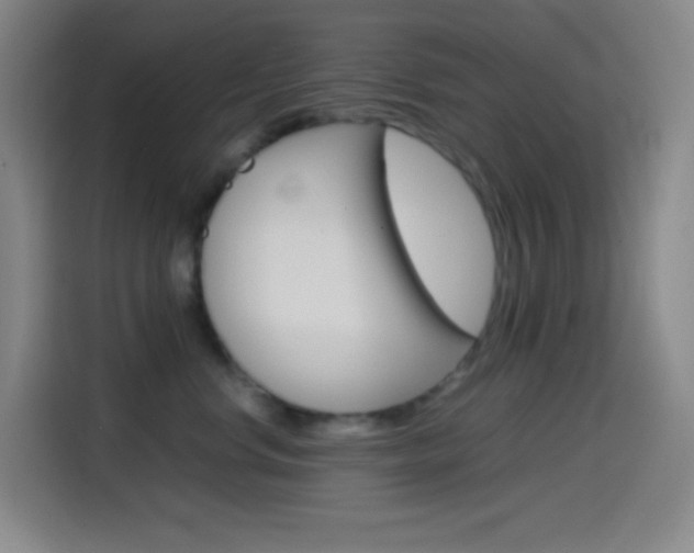 X0000114560668200910191012