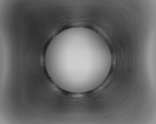 X0000114560669200910191012