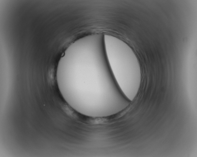 X0000114560670200910191012