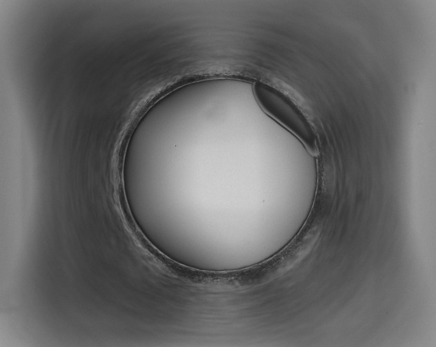 X0000114560673200910191012