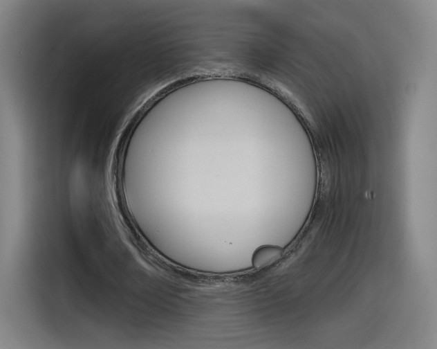 X0000114560674200910191012